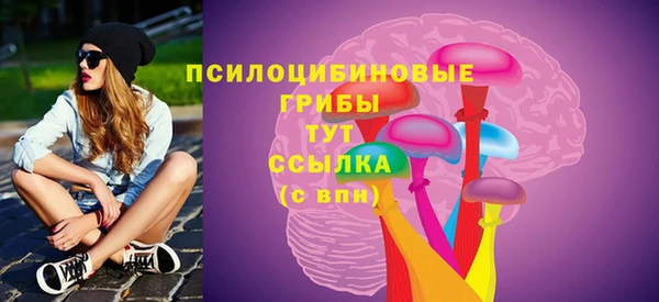 индика Балабаново
