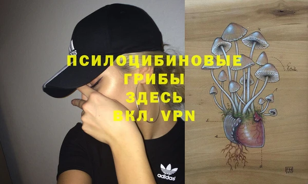 индика Балабаново
